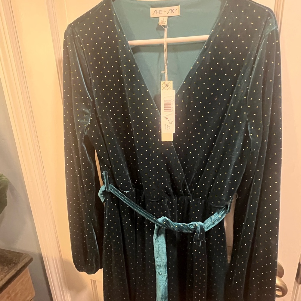 She + Sky Teal Velvet Polka Dot Dress